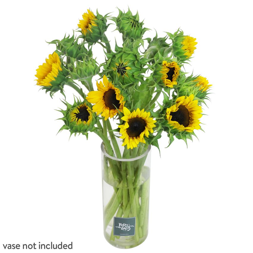 15 Sunflowers Gift Box