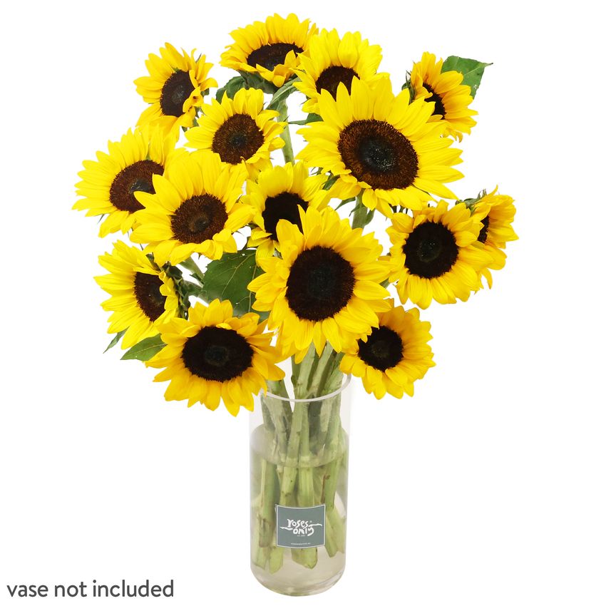 15 Sunflowers Gift Box