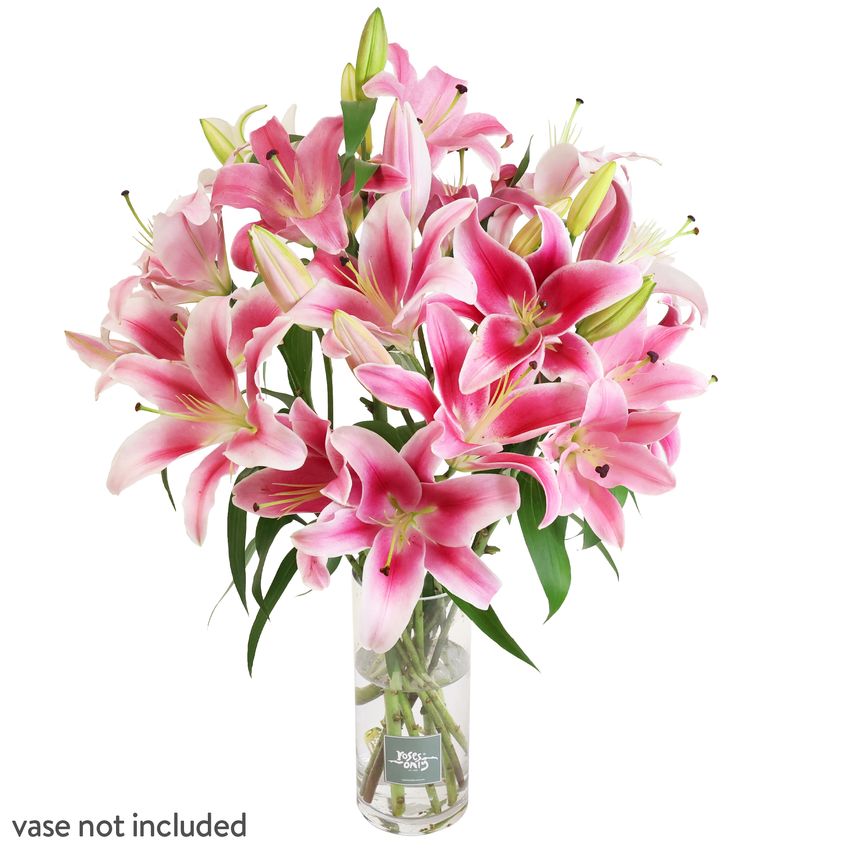 15 Pink Oriental Lilies Gift Box