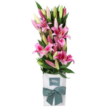 15 Pink Oriental Lilies Gift Box Flowers
