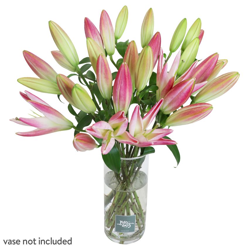 15 Pink Oriental Lilies Gift Box