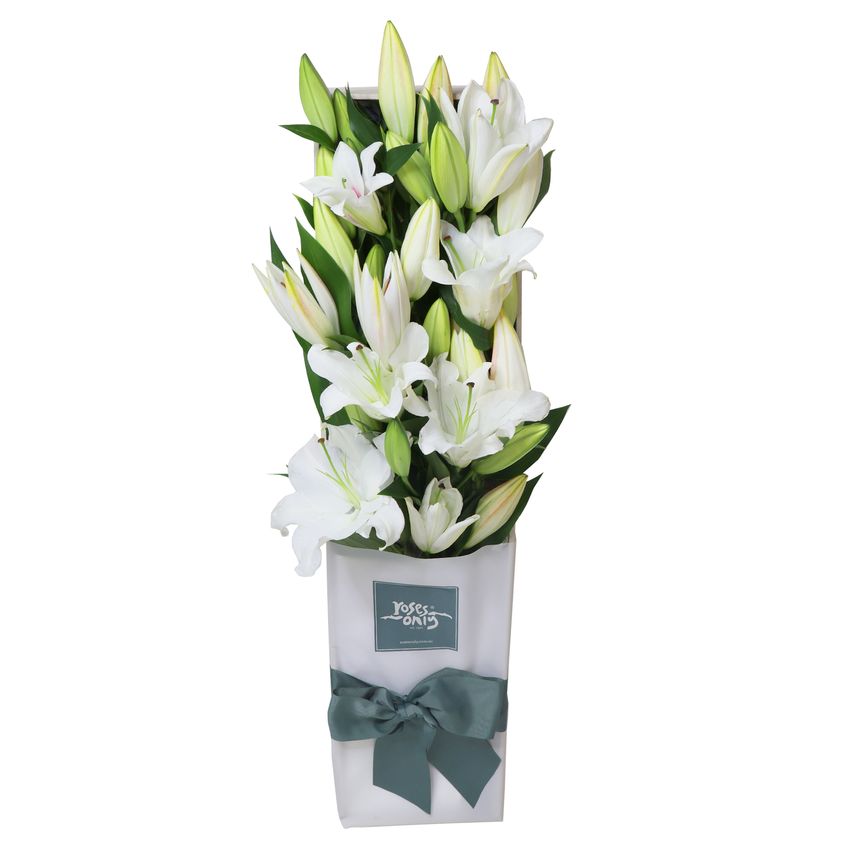 15 White Oriental Lilies Gift Box