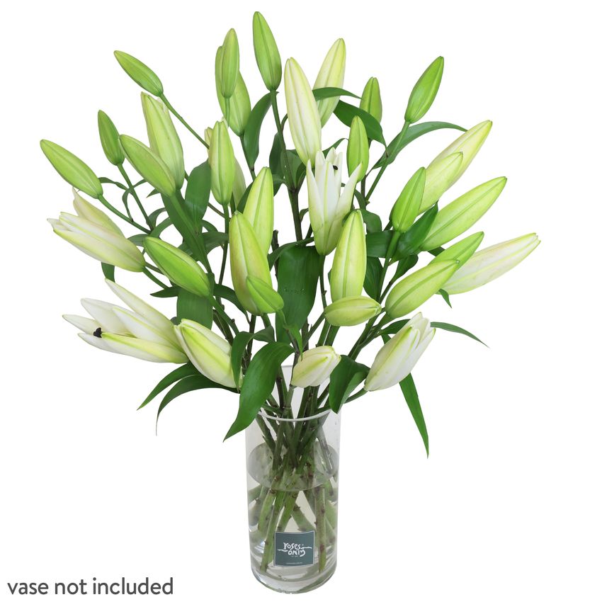 15 White Oriental Lilies Gift Box