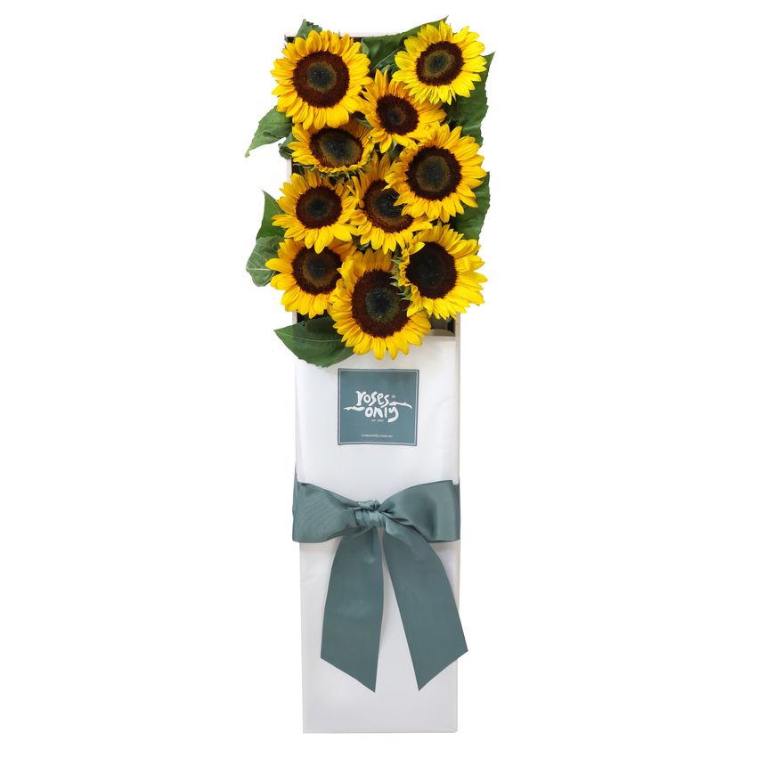 10 Sunflowers Gift Box