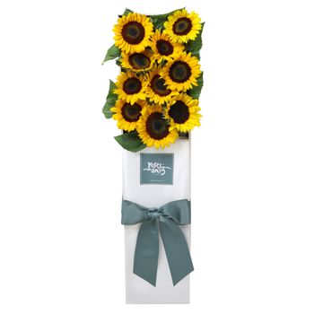 10 Sunflowers Gift Box Flowers