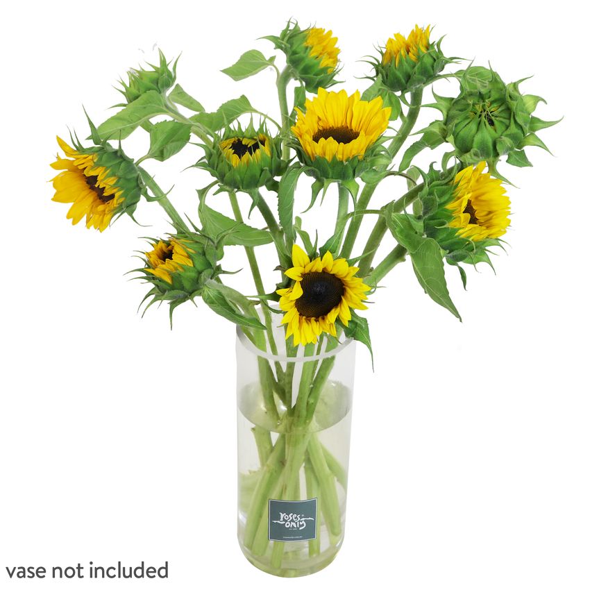 10 Sunflowers Gift Box