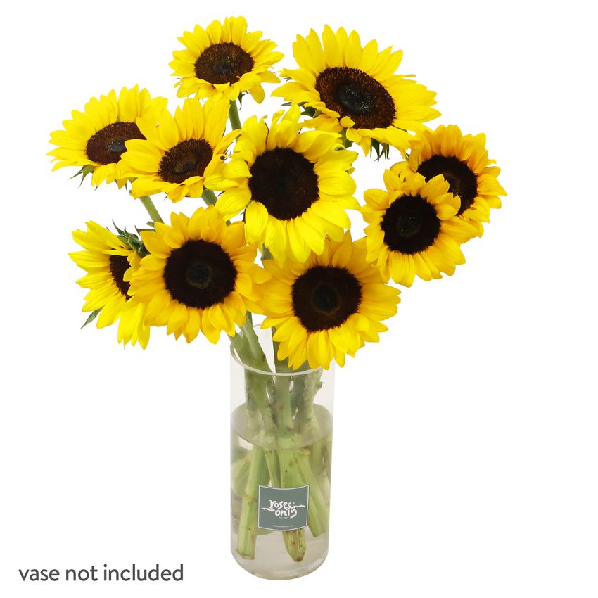 10 Sunflowers Gift Box