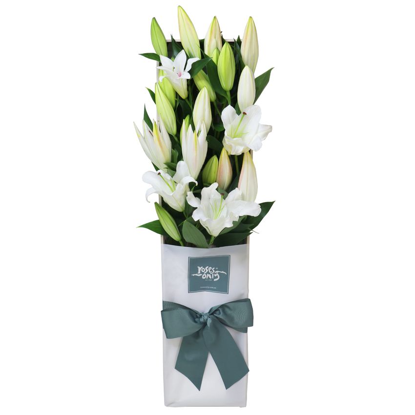 10 White Oriental Lilies Gift Box