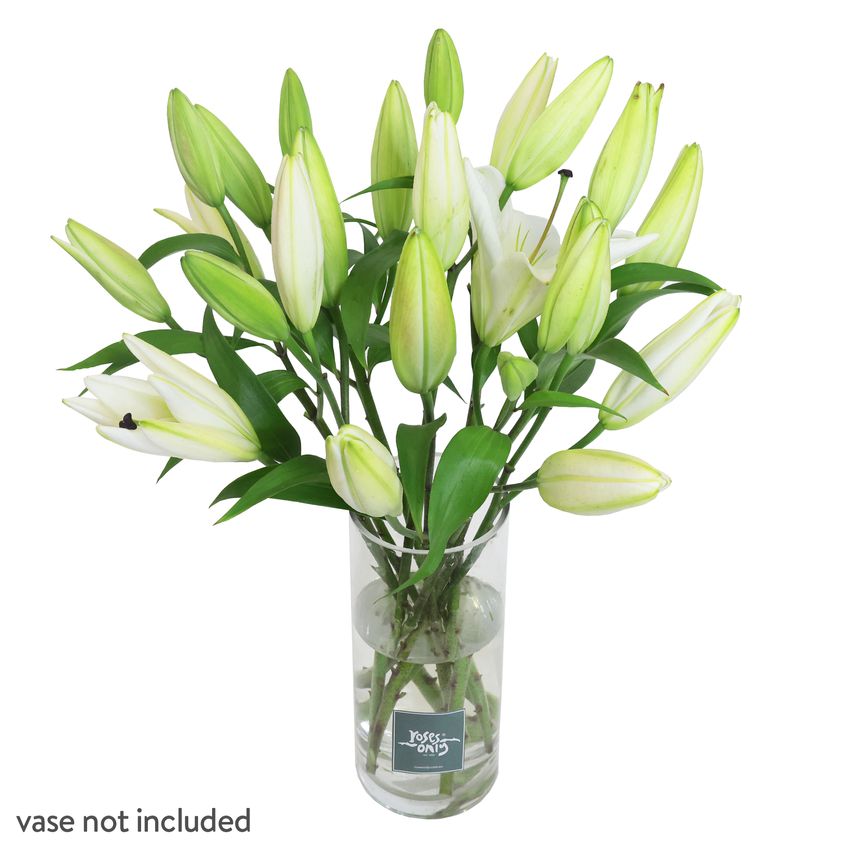 10 White Oriental Lilies Gift Box