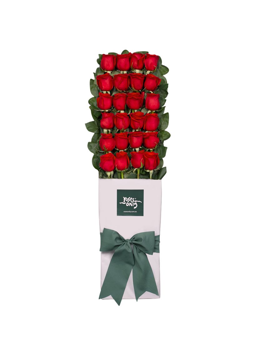 24 Red Roses for Valentine's Day Gift Box