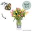 Upgrade Tulip Bouquet Mixed 20 Flowers