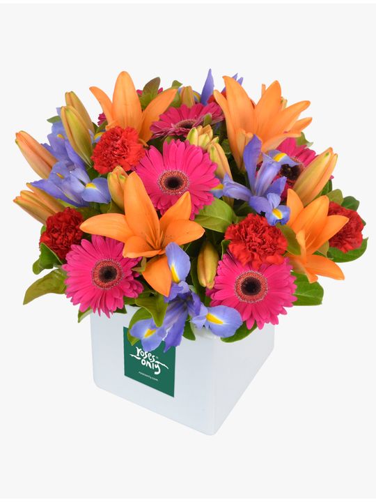 Cheery Blooms Flowers