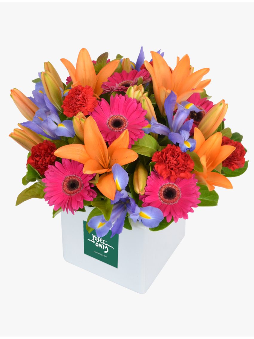 Cheery Blooms