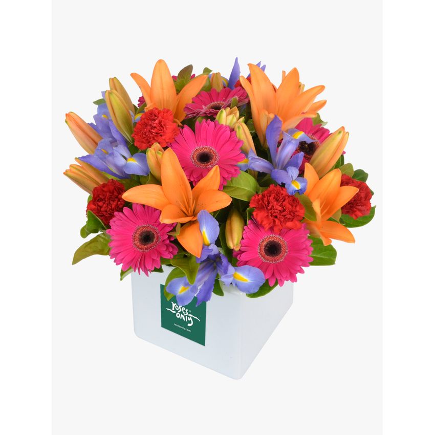 Cheery Blooms