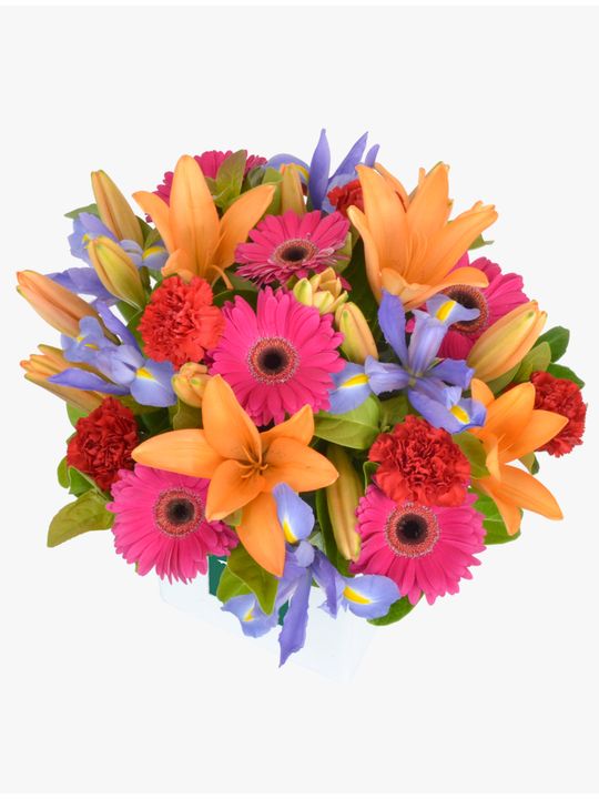 Cheery Blooms Flowers