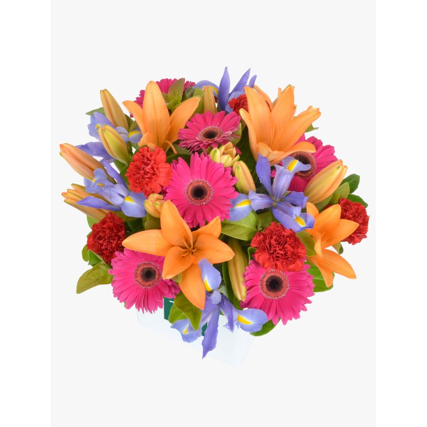 Cheery Blooms