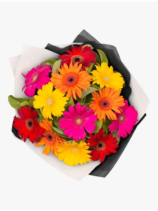 Gorgeous Gerberas Bouquet 12 Flowers