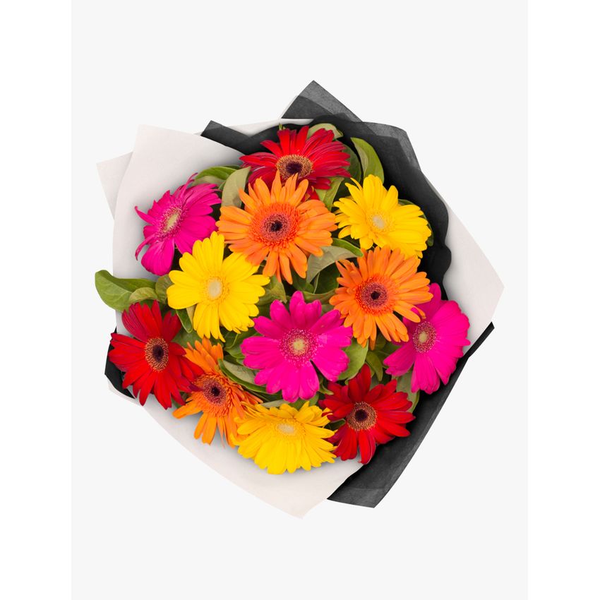 Gorgeous Gerberas Bouquet 12