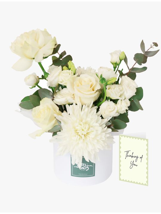 Daydream with Sympathy Card Flowers