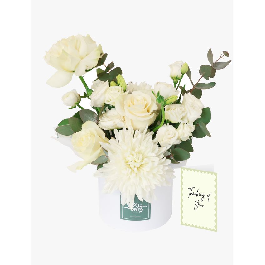 Daydream with Sympathy Card