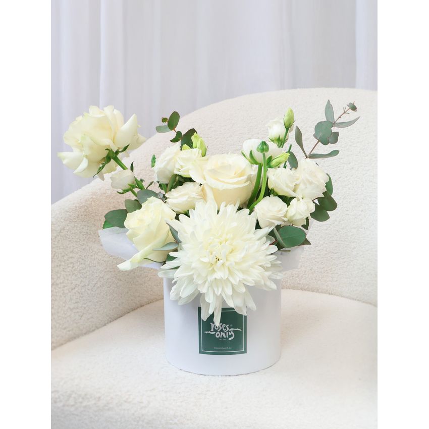 Daydream with Sympathy Card