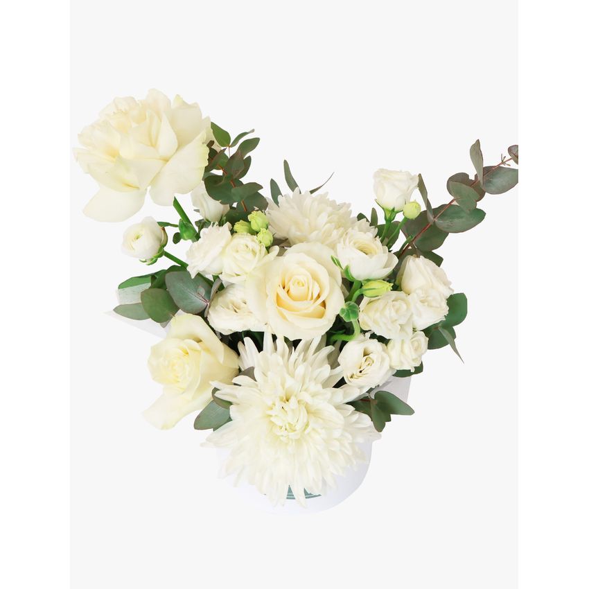 Daydream with Sympathy Card