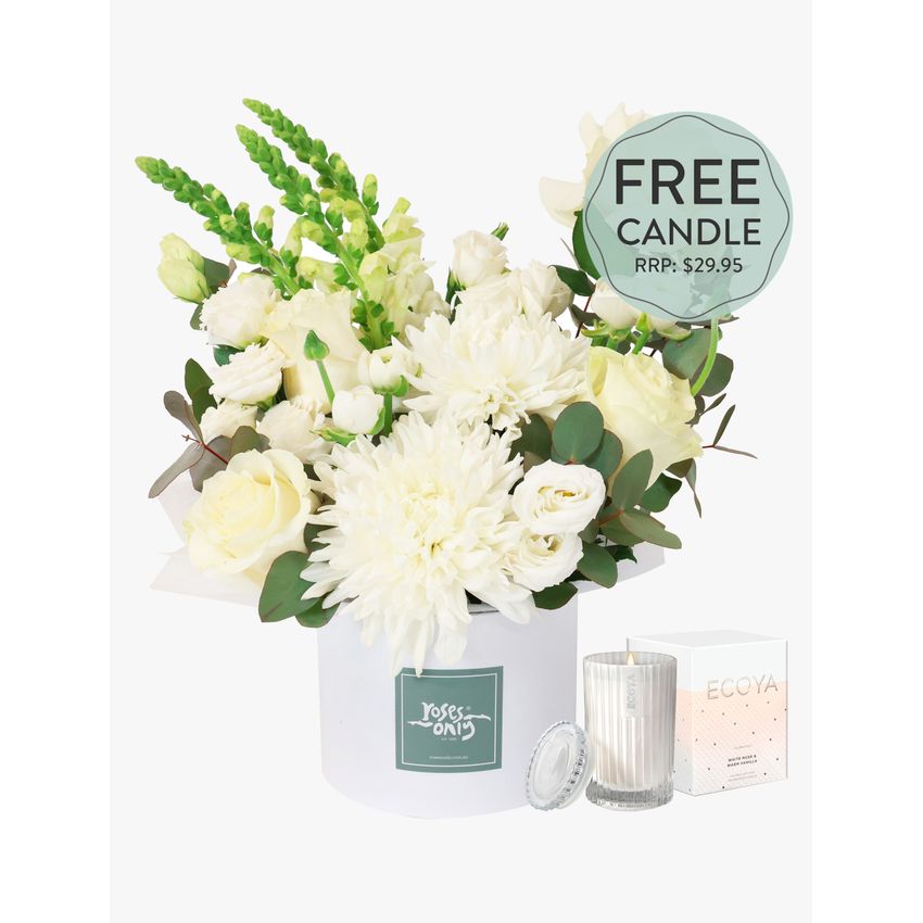 Daydream Large with FREE Candle