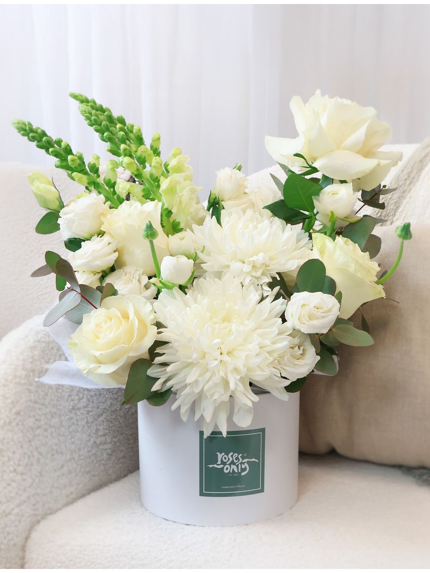 Daydream Large with FREE Candle