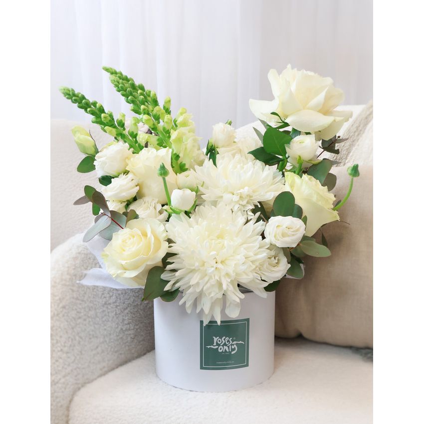 Daydream Large with FREE Candle
