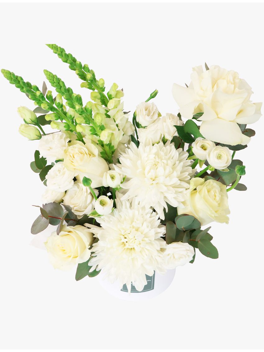 Daydream Large with FREE Candle