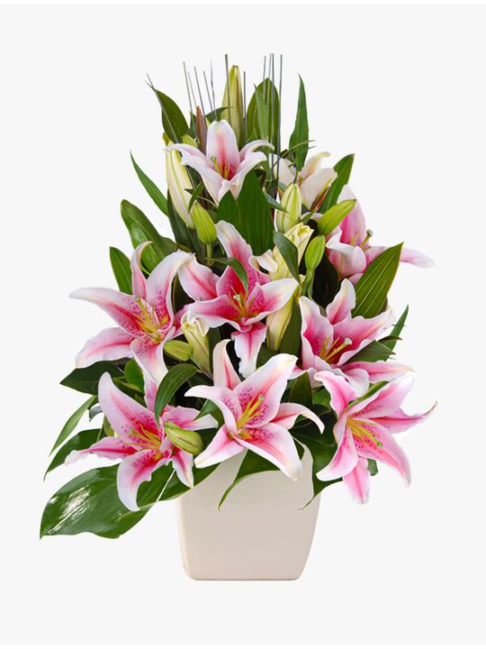 Delightful Pink Flowers