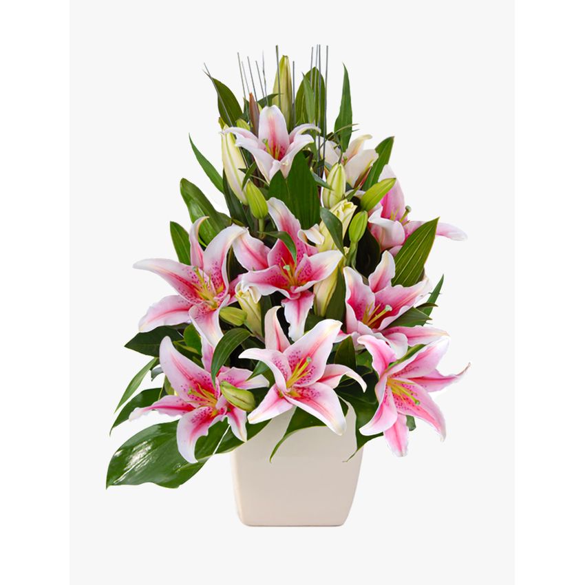 Delightful Pink