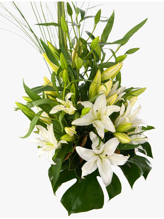 Delightful White Flowers