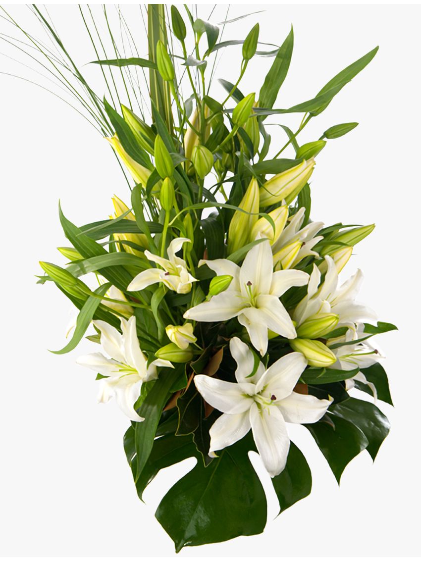 Delightful White