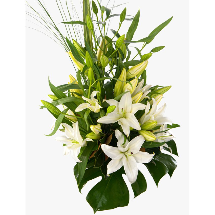 Delightful White