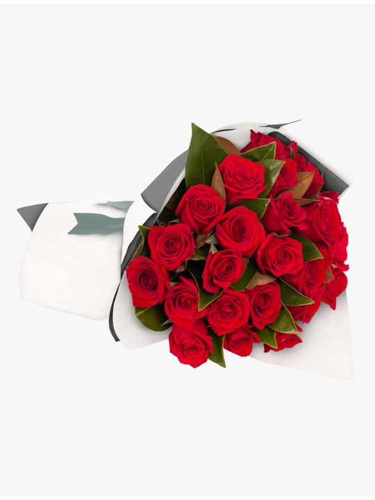 Long Stemmed Rose Bouquet Red 24 Flowers