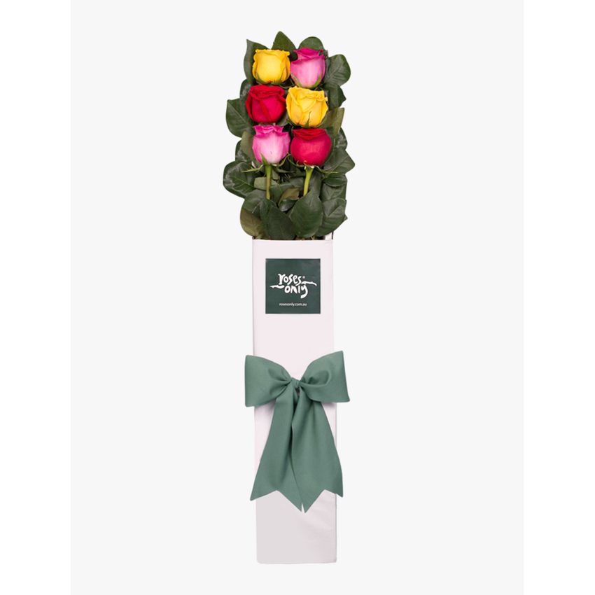 Long Stemmed Roses Gift Box Mixed 6