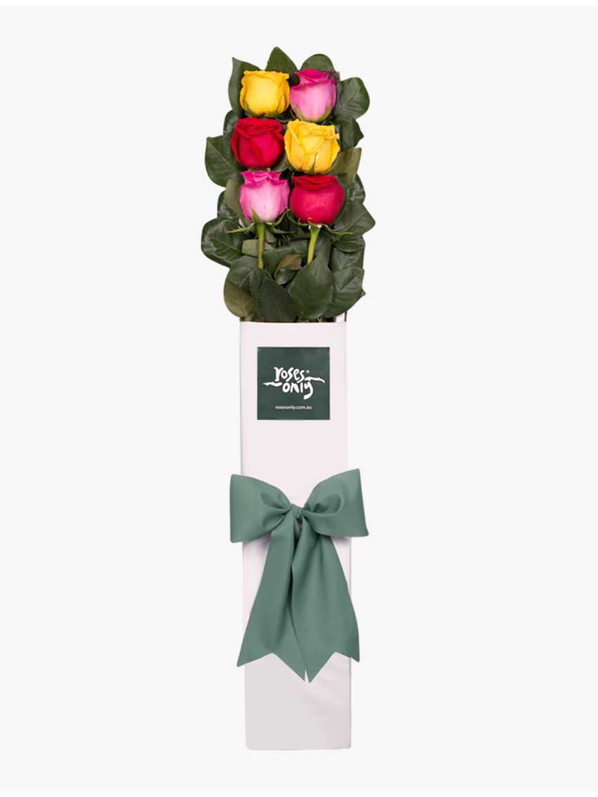 Long Stemmed Roses Gift Box Mixed 6