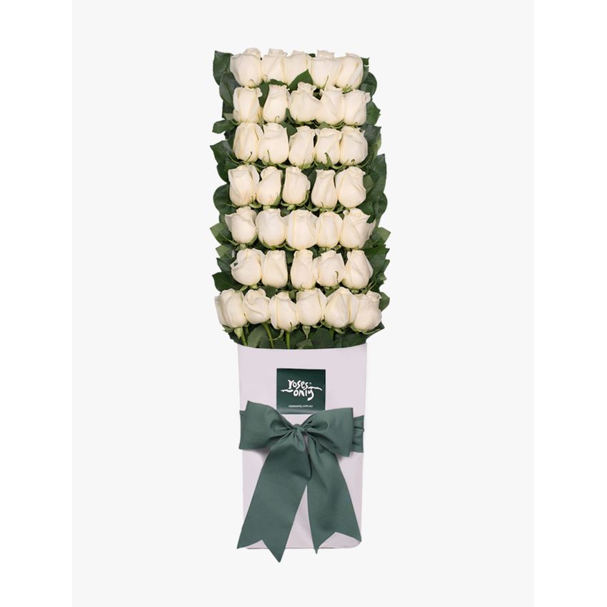 Long Stemmed Roses Gift Box White 36