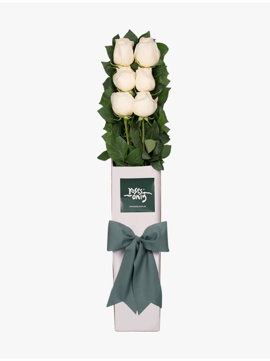 Long Stemmed Roses Gift Box White 6 Flowers