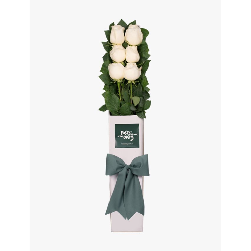 6 White Roses Gift Box