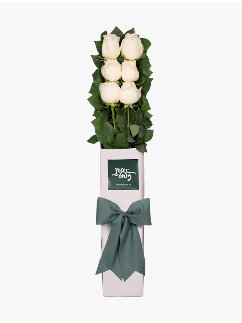 6 White Roses for Valentine's Day Gift Box
