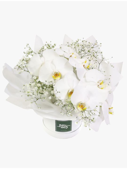Luxury White Orchids Petite Flowers