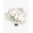 Luxury White Orchids Petite Flowers