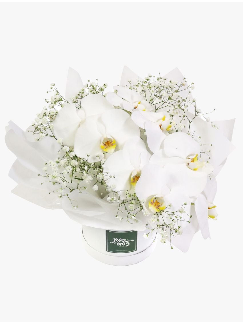 Luxury White Orchids Petite