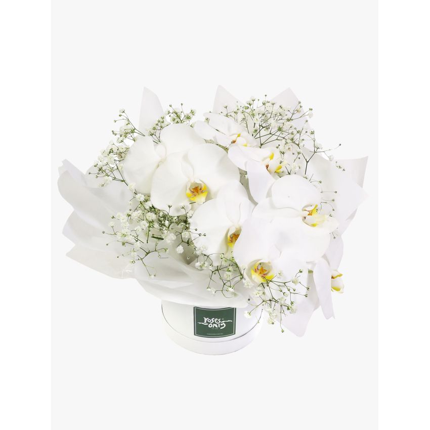 Luxury White Orchids Petite