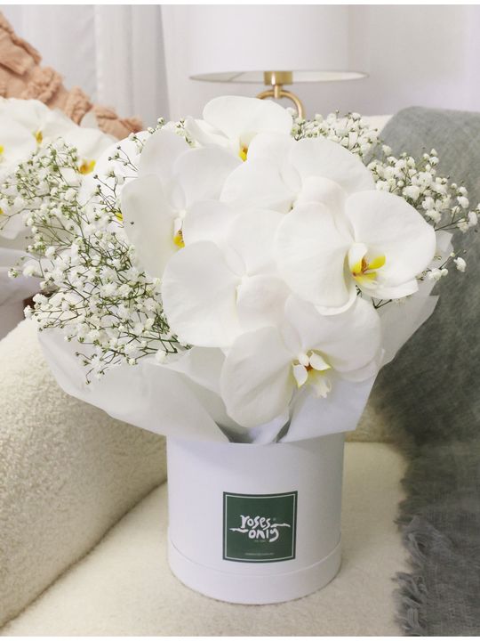 Luxury White Orchids Petite Flowers