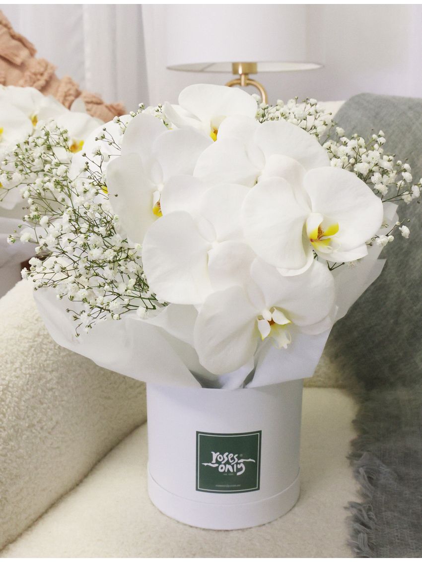 Luxury White Orchids Petite