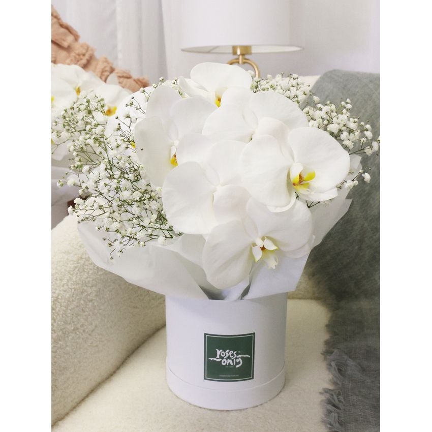 Luxury White Orchids Petite