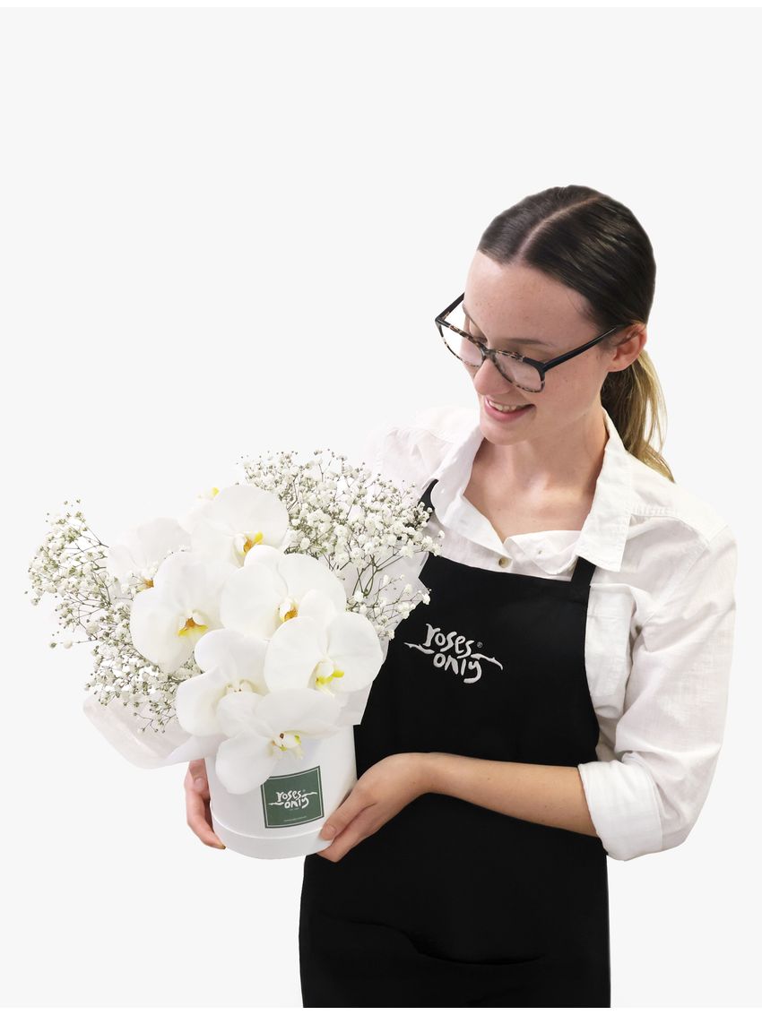 Luxury White Orchids Petite
